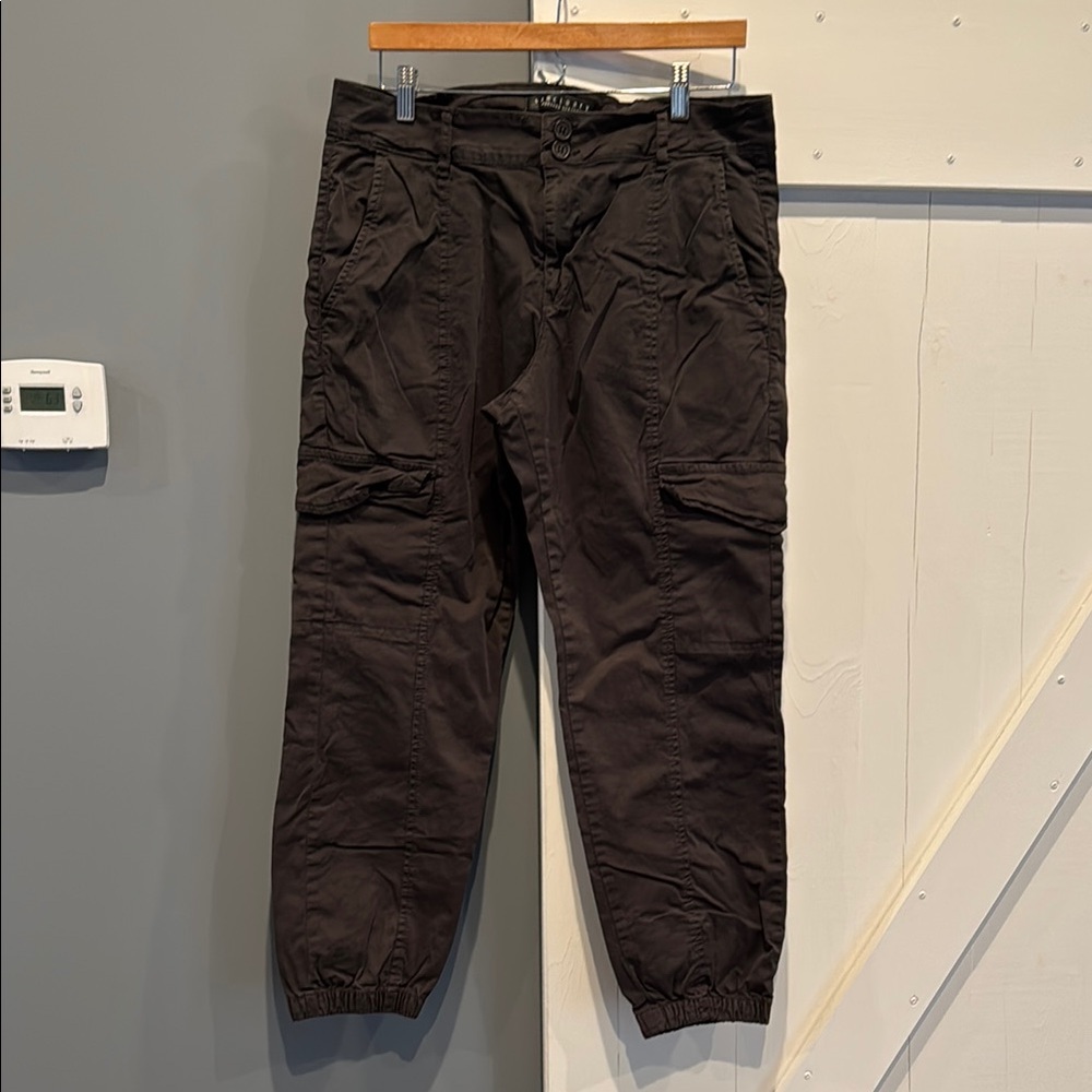 Sanctuary Cargo pants, Size 31, dark charcoal/brown